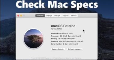 Serial Number to Look up Mac Specs